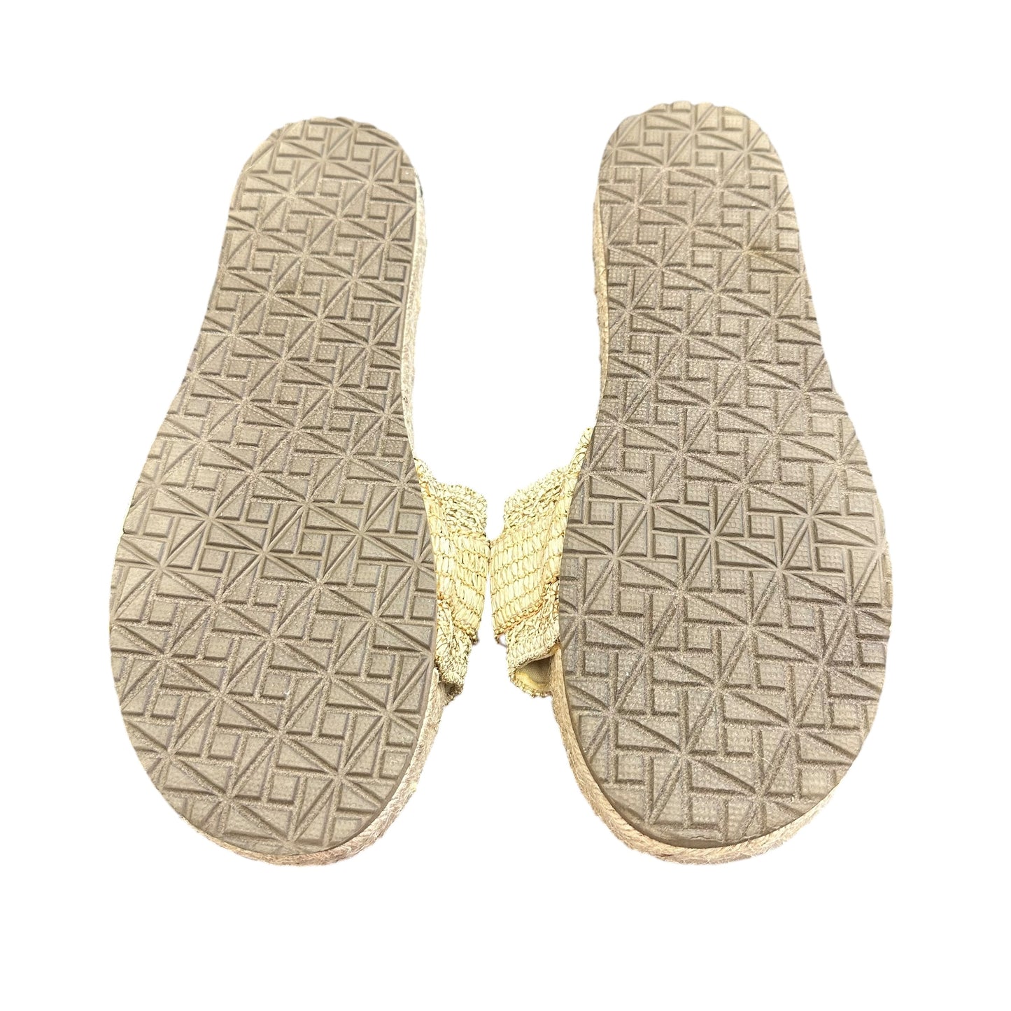 HAUTE HIPPIE RAFFIA JUTE SLIDES NWOT 100 SZ 9