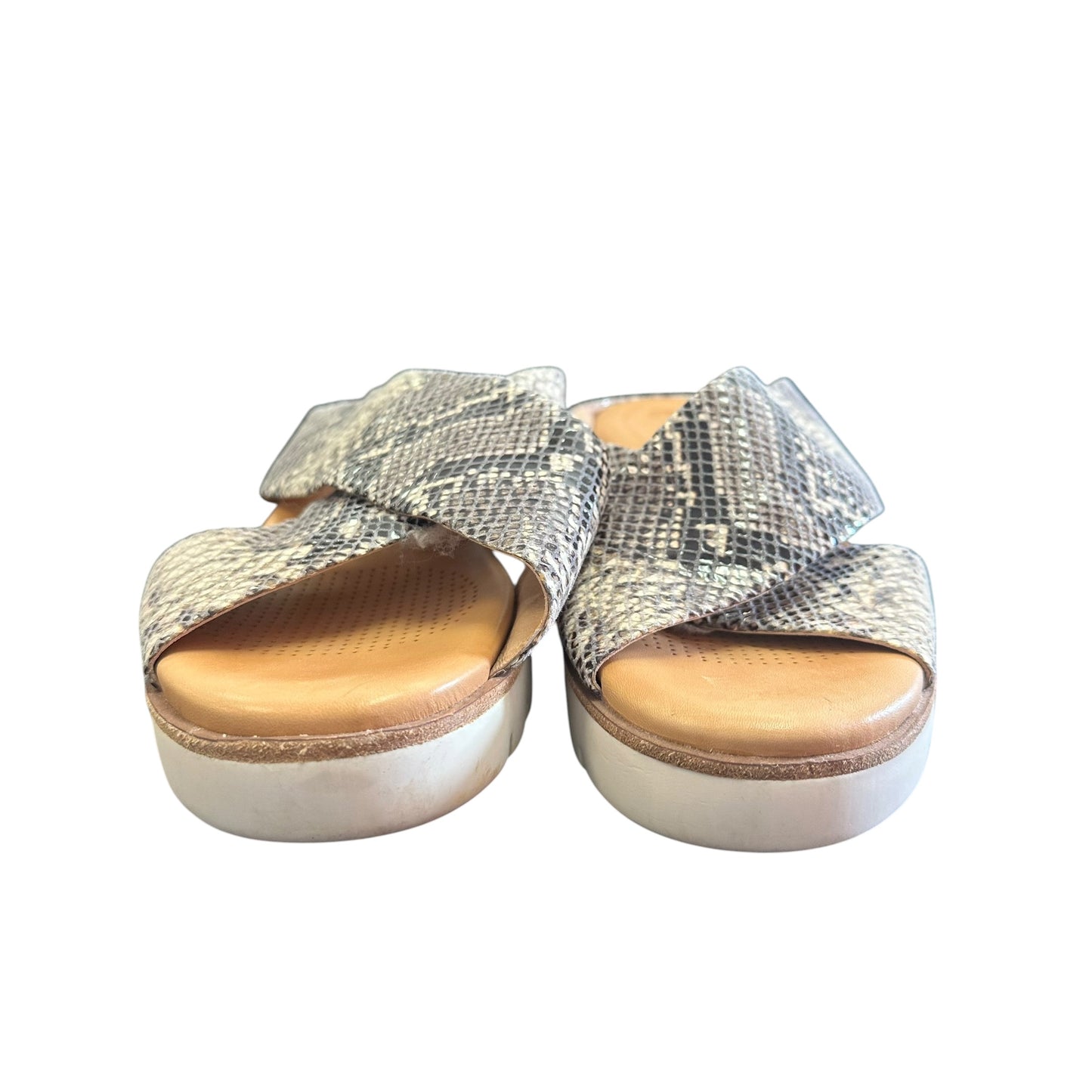CORSCO COMO SNAKESKIN SANDALS 169 SZ 7