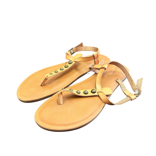 UNIVERSAL THREADS BROWN STUDDED SANDALS NWT 100 SZ 6.5