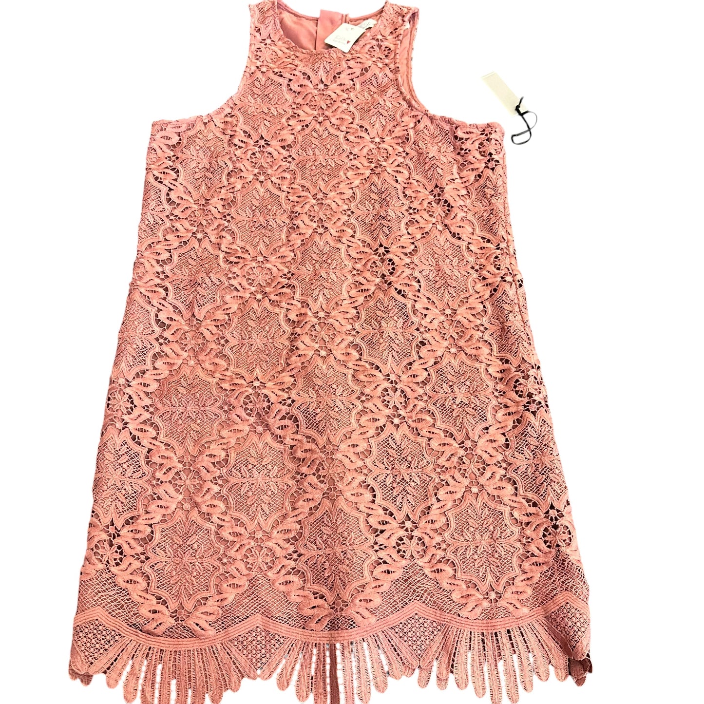 LOVERS + FRIENDS CASPIAN SCALLOPED LACE SHIFT DRESS 27 NWT SMALL