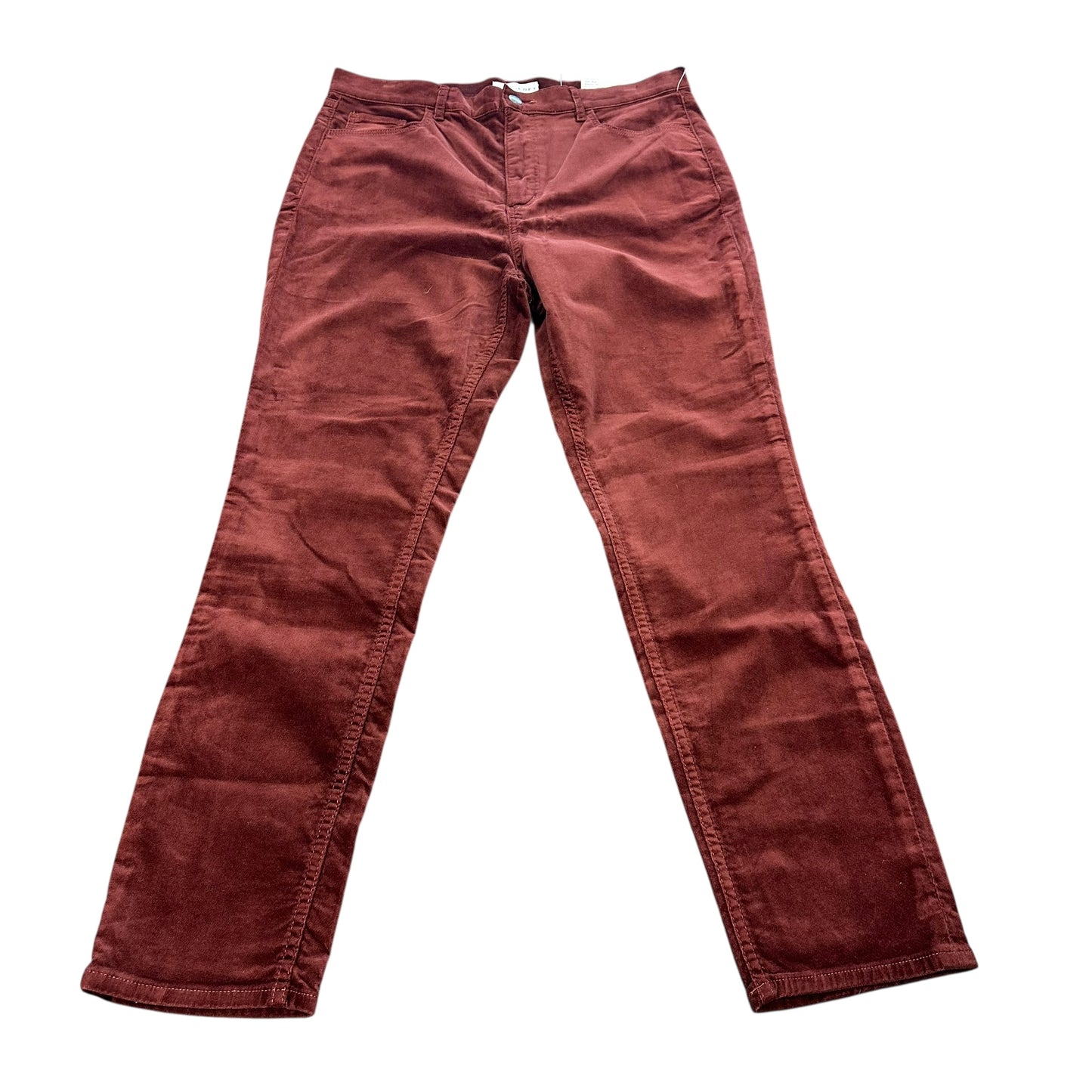 LOFT THE SKINNY HIGH RISE REG FIT VELOUR PANTS NWT 191 SZ 32/14