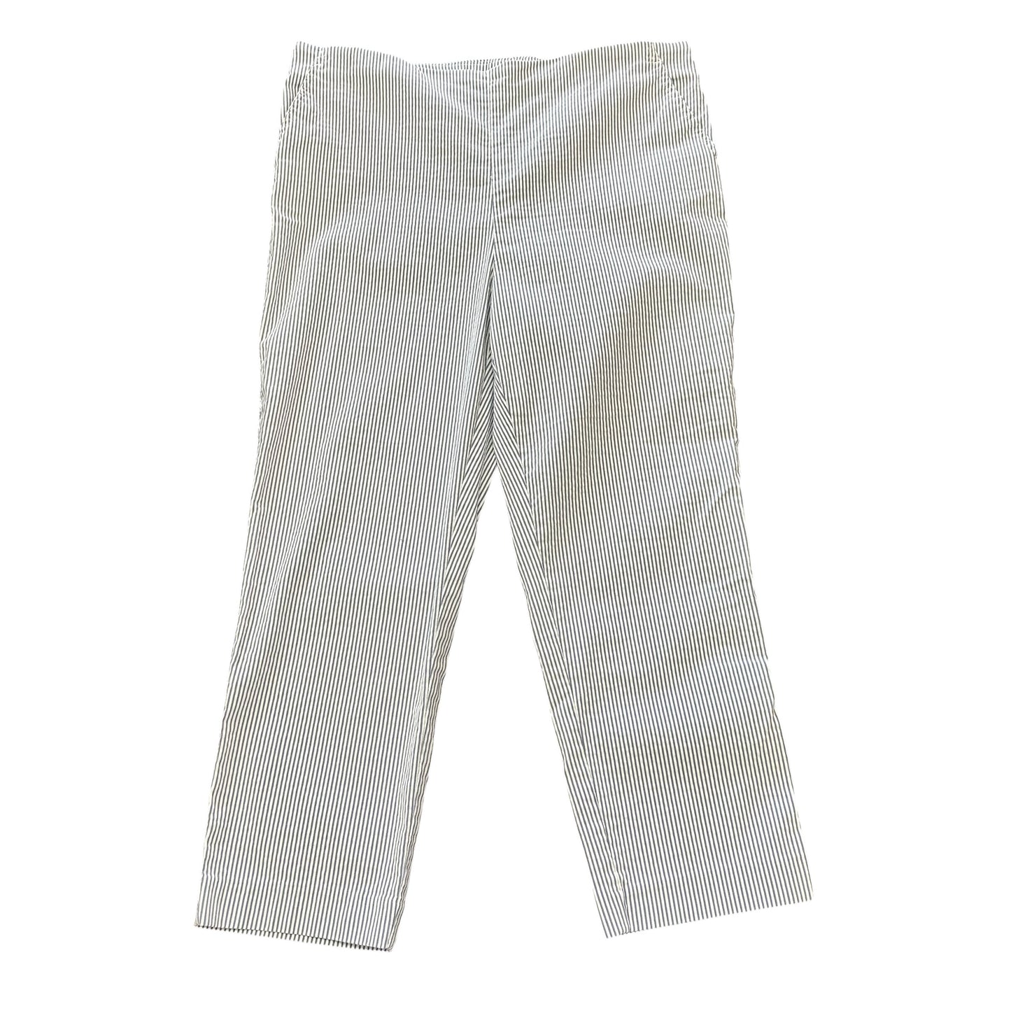 CAROLINA BELLE STRIPED BLUE WHITE PANTS (8) 10