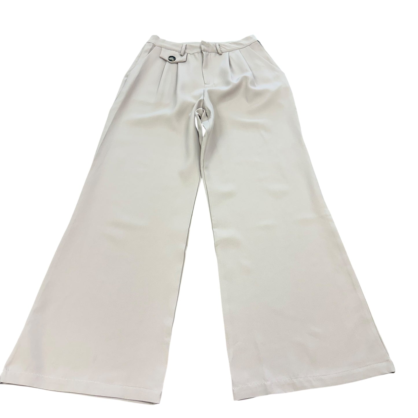 HELLO MOLLY BEIGE PLEATED WIDE LEG PANTS 223 NWT SZ 6