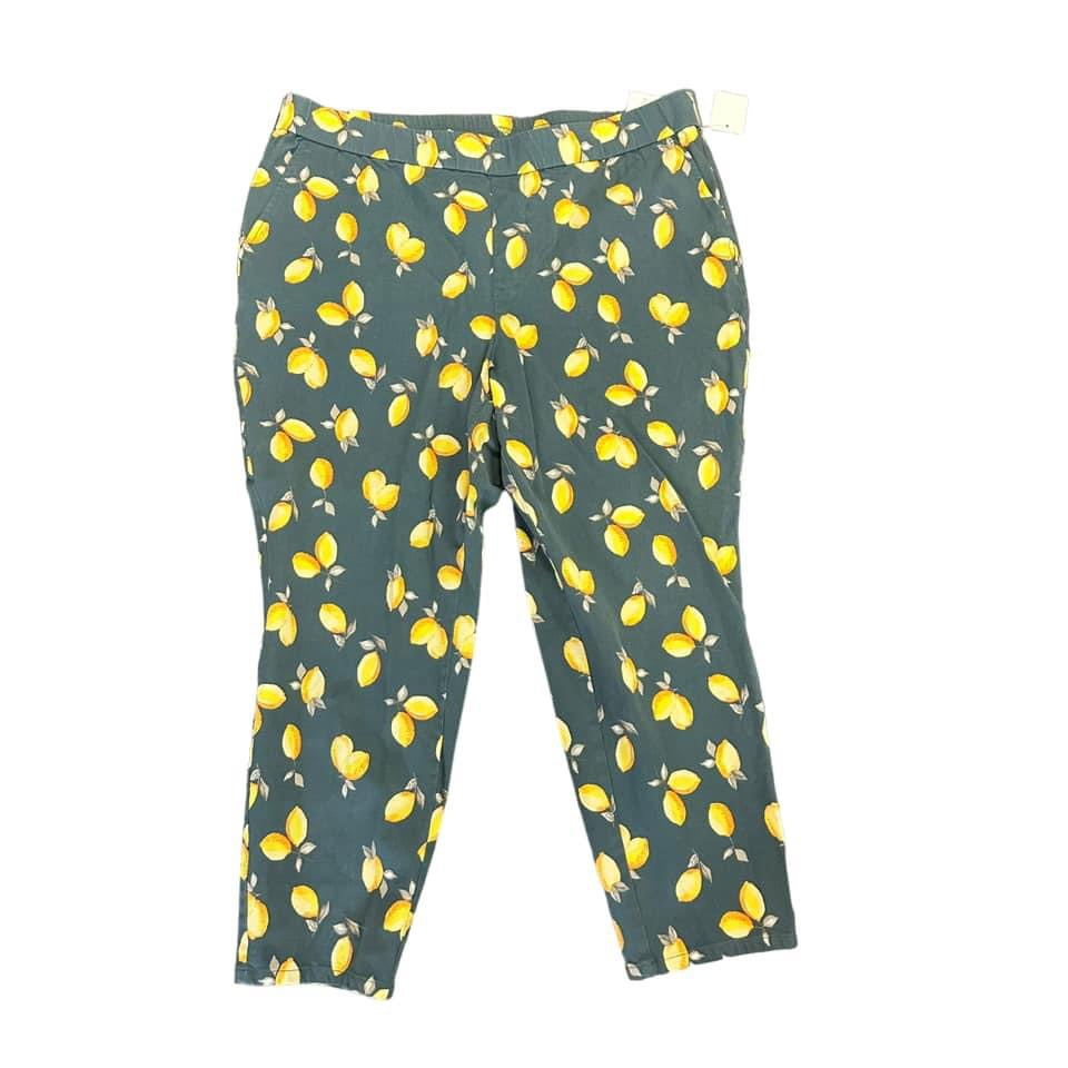 LEMON WAY PULL ON CAPRIS – 128 SZ 16 PETITE $9.99